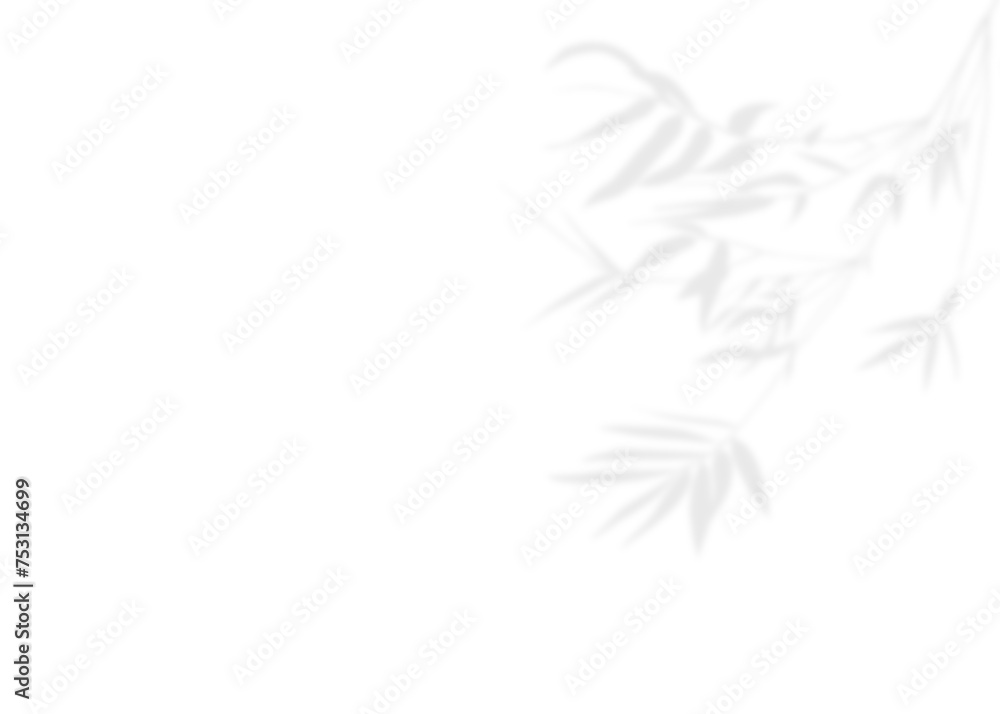 Blurry Gray natural leaf bamboo shadow element for decoration. On isolate background. Blurry Gray natural leaf bamboo shadow element for decoration. On isolate background.