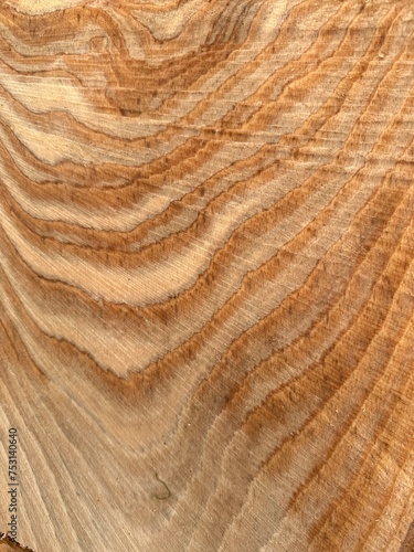 Schnittfläche Holz