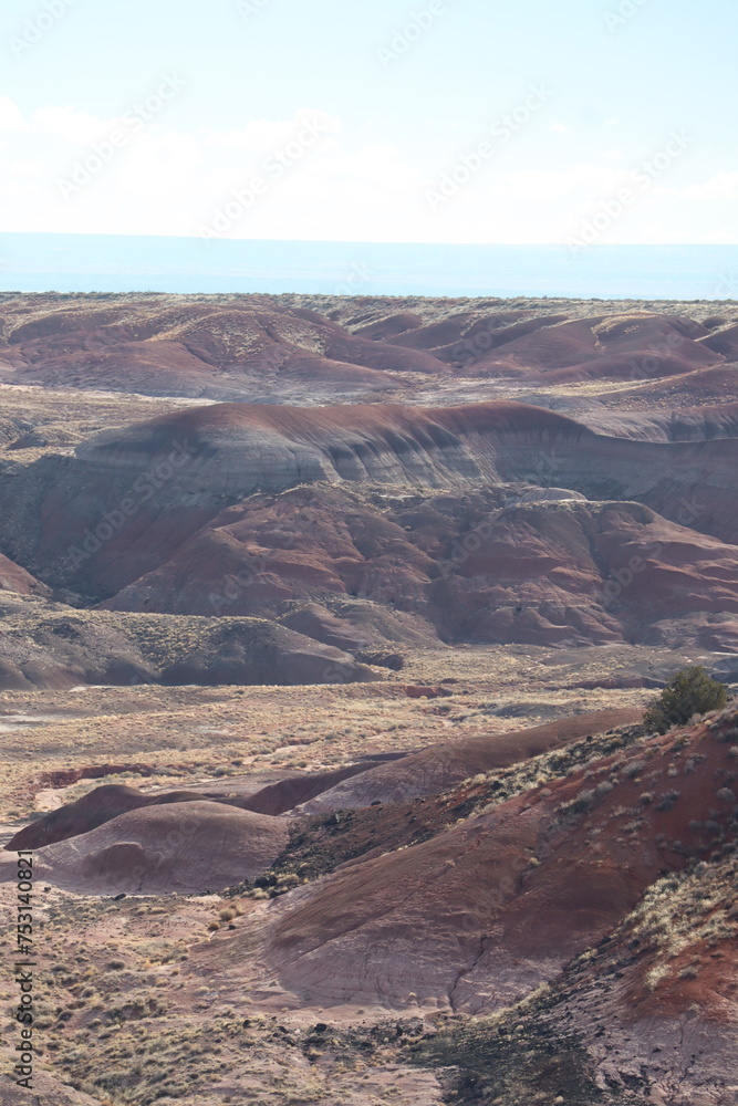 Petrified Forest National Park