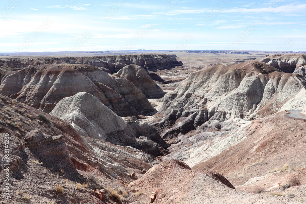 Petrified Forest National Park, Arizona Petrified Forest National Park, Arizona