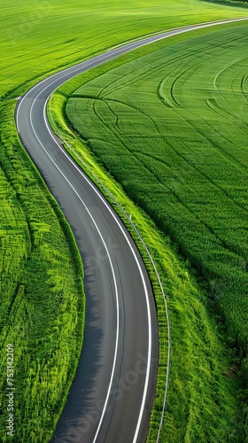 Bird's eye view of rural road passing through agricultural land and green fields. Ukrainian agrarian region, Europe. Picturesque wallpaper. Aerial photography. AI generated illustration
