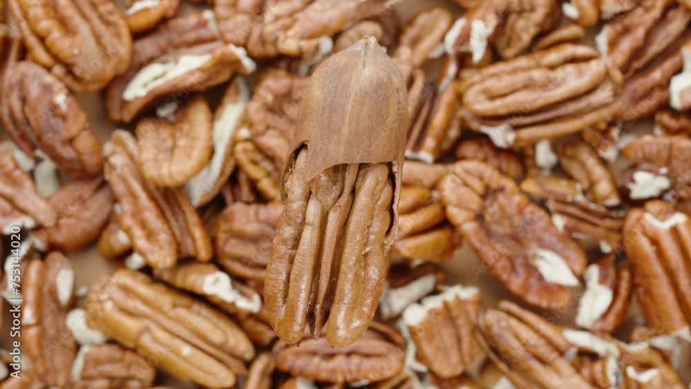 Pecan nut in a cracked shell rotates cyclically on top of a background of other nuts, viewed from above. Pecan nut in a cracked shell rotates cyclically on top of a background of other nuts, viewed from above.