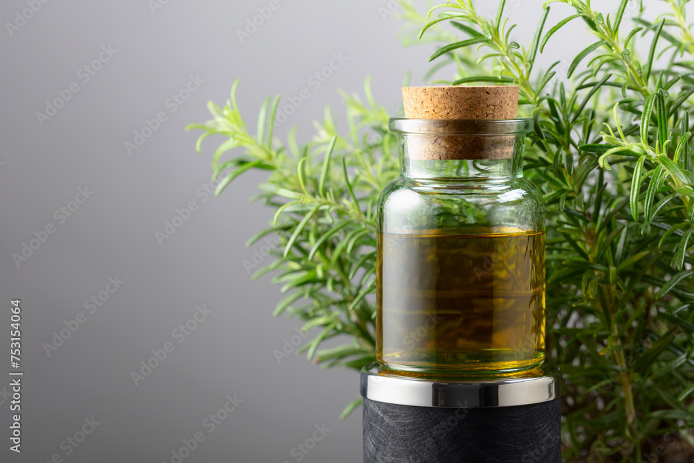 Rosemary essential oil and fresh rosemary. Rosemary essential oil and fresh rosemary.