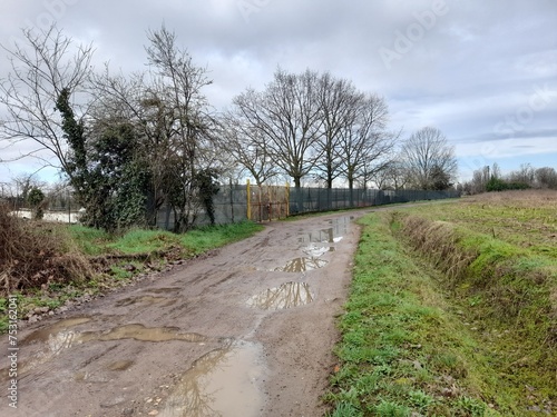 Strada sterrata di campagna in una giornata piovosa photo