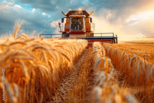 A combine harvester in action, cutting and collecting ripe grain in a vast field. The machine moves methodically, processing the crops efficiently