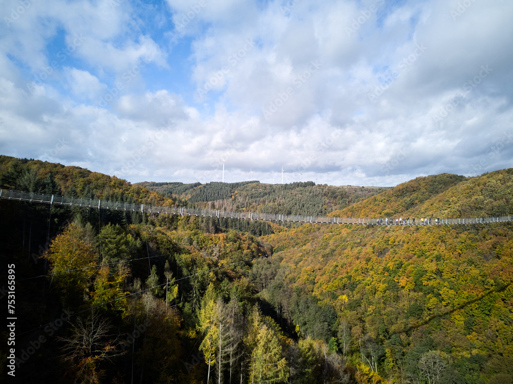 Hangeseilbrucke Geierlay . Gernamy . Drone. Autumn