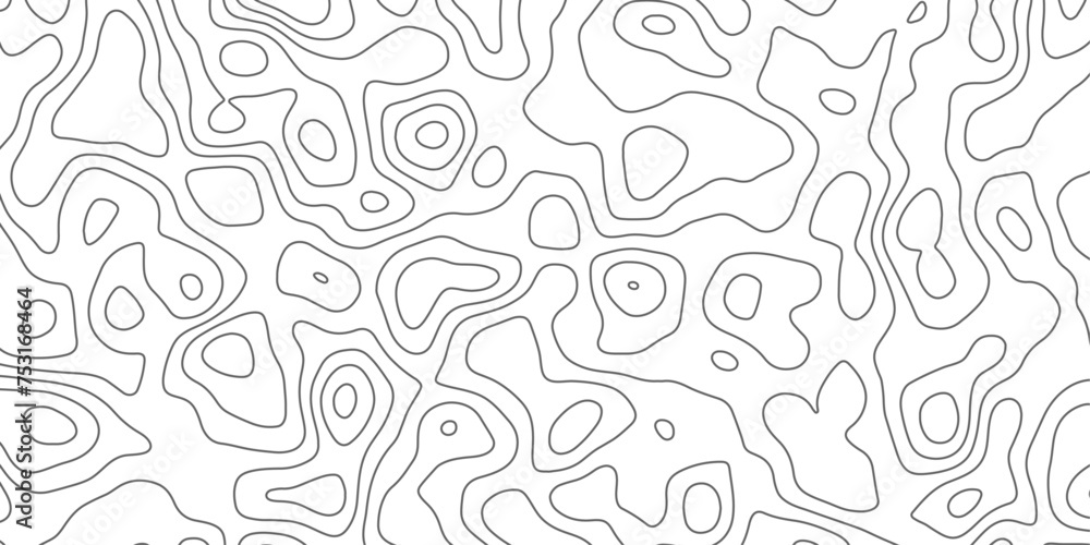 White vector gray lines abstract topography