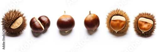 Array of chestnuts in various stages of being unshelled on a white background, showcasing the natural transition from spiky outer shell to smooth nut.