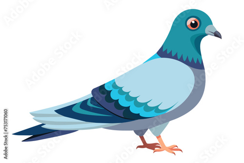  a pigeon vector illustration, on a clean white background