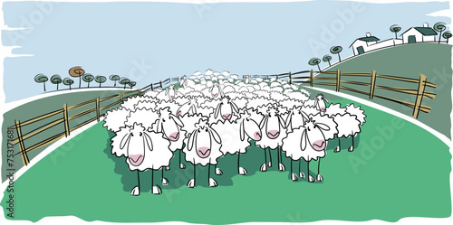 Flock of white sheep in the foreground in a large meadow with a fence or pen and a house and trees in the background on a clear summer day.