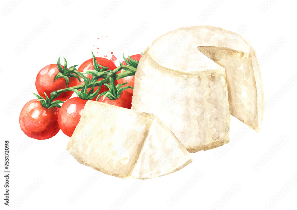 Ricotta homemade soft cheese with cherry tomatoes. Hand  drawn watercolor illustration isolated on white background