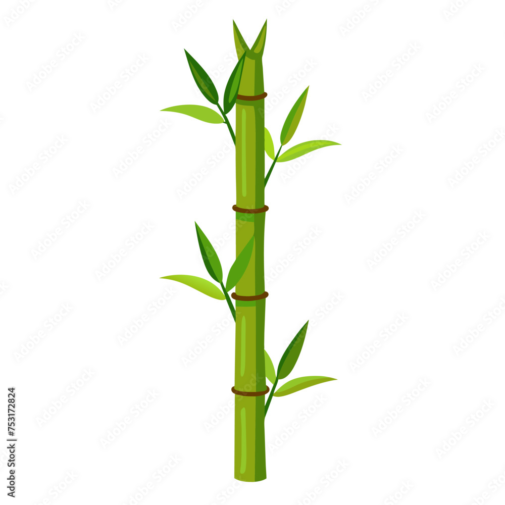 Fototapeta premium Green Bamboo stems isolated on the white background