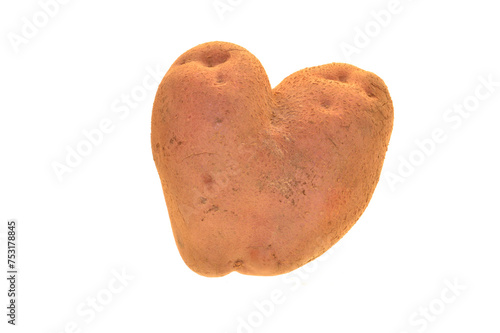 potato isolated on white background