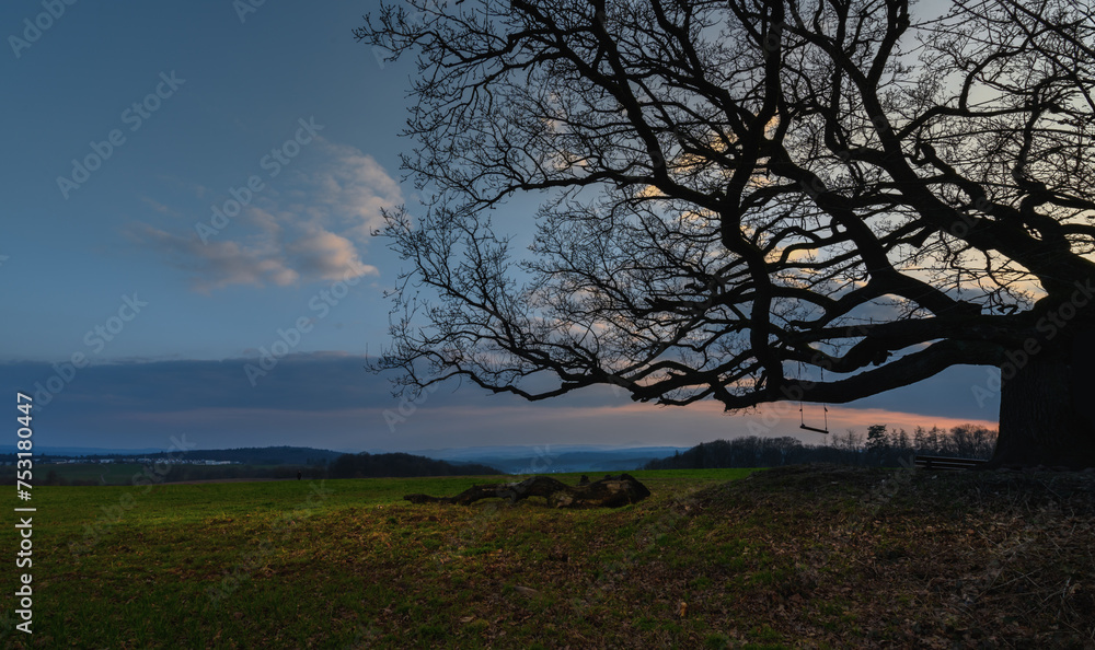Abendlicher Sonnenuntergang am Feld mit alter Eiche Abendlicher Sonnenuntergang am Feld mit alter Eiche