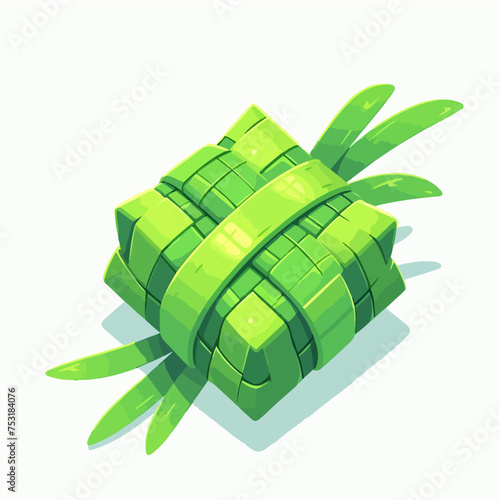 rice dish ketupat in organic green packaging vector asian food