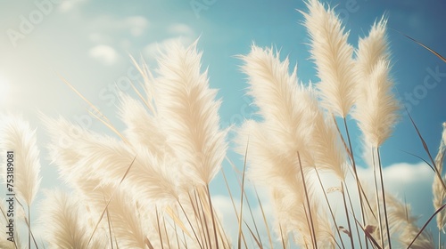 A vintage-style image captures pampas grass in flower with a retro effect cyanotype finish, creating a nostalgic atmosphere with leaf and flower spears pointing into the sky.