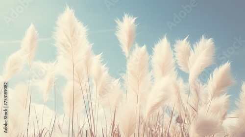 A vintage-style image captures pampas grass in flower with a retro effect cyanotype finish, creating a nostalgic atmosphere with leaf and flower spears pointing into the sky. photo