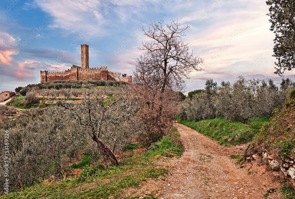Fototapeta premium Castiglion Fiorentino, Arezzo, Tuscany, Italy: the medieval castle of Montecchio Vesponi in the countryside with olive orchard
