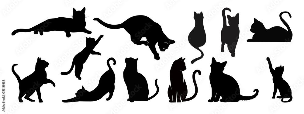 silhouettes of animals | cat silhouette | silhouette   - obrazy, fototapety, plakaty 