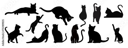 Fototapeta Naklejka Na Ścianę i Meble -  silhouettes of animals | cat silhouette | silhouette  