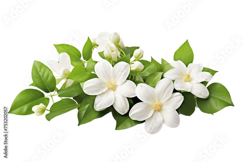 White flowers icon, 3D render style, isolated on white or transparent background.