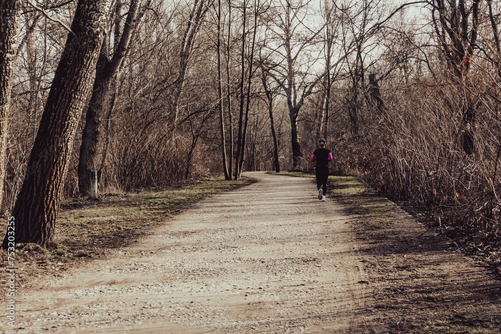 a woman riding a bike down a trail lined with trees a woman riding a bike down a trail lined with trees