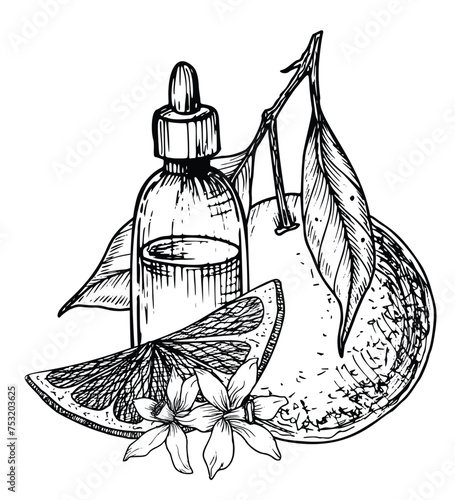 Orange Essential Oil with slices of Fruit. Hand drawn vector illustration of vintage transparent Bottle for aroma therapy in line art style. Retro flacon for cosmetic citrus flavor in black colors.