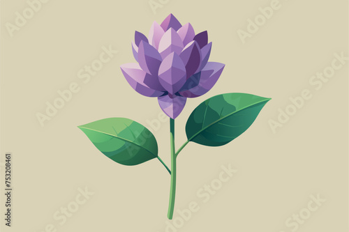 Liac Flower Vector Illustration photo