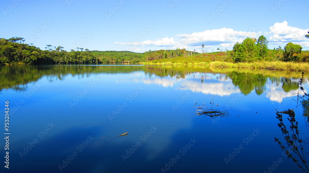 Fototapeta premium Imagens variadas da natureza