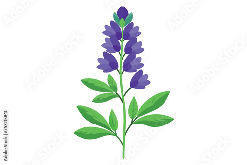 Monkshood Flower Vector Illustration