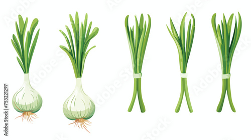 Spring onions freehand draw cartoon vector illustrat photo