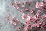 Pink Flowers on Gray Background