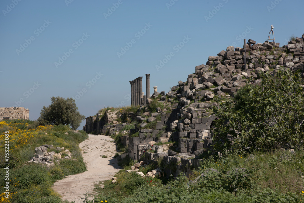 Fototapeta premium Ruins of Qasr al -Аbd Jordan on a sunny winter day