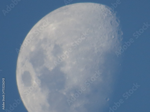 Imagens variadas da natureza