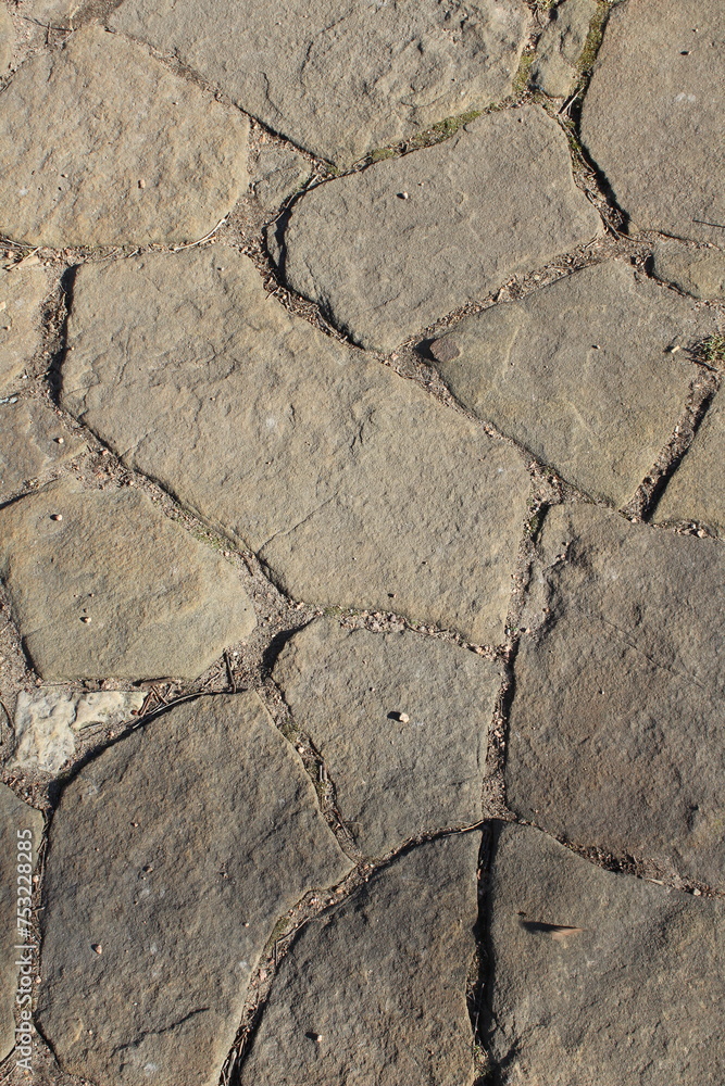Fototapeta premium dry cracked ground