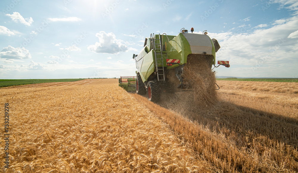 Obraz premium Harvesting wheat harvester on a sunny summer day
