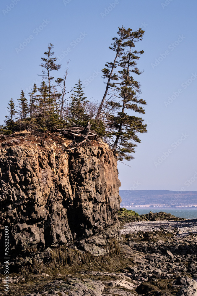 Low Tide on the Atlantic Ocean Bay of Fundy showning rocks, sand and ocean floor.
