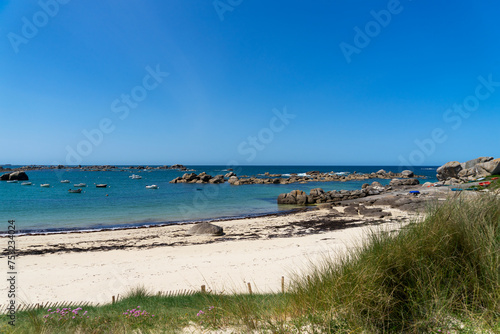 Plage de sable blanc, dunes herbeuses, Armérie maritime fleurie : la Bretagne en fleurs.