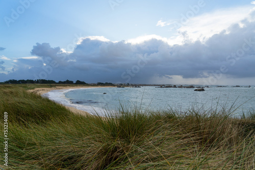 Oyats bordant une plage bretonne sous un ciel couvert : la poésie sauvage de la côte bretonne.