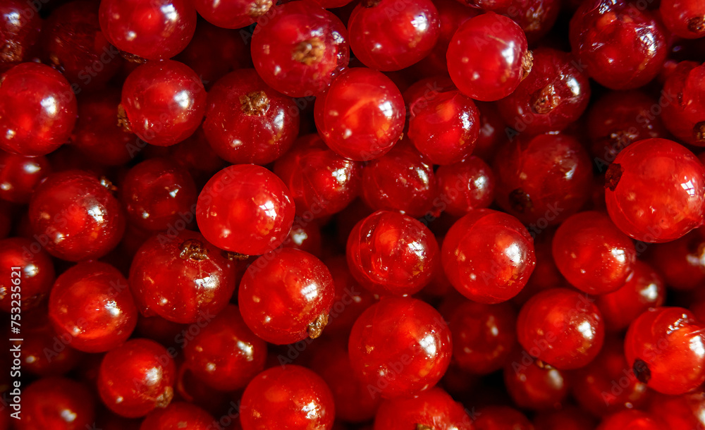 Background of bright, juicy red currants. View from above Background of bright, juicy red currants. View from above