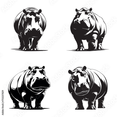 Set hippopotamus - black and white behemoth on a white background