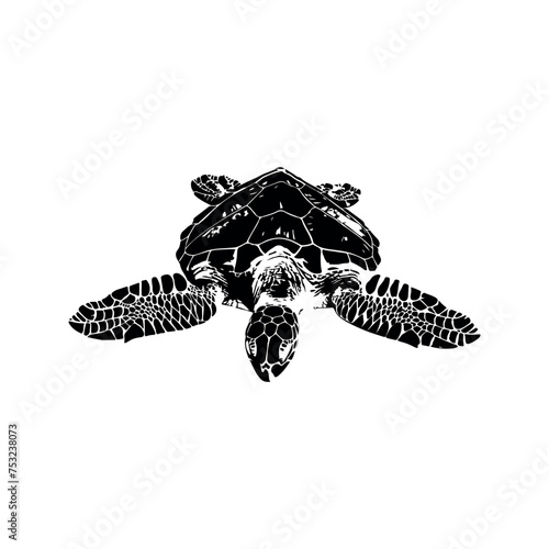 Sea turtle vector design isolated