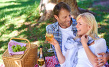 Couple, picnic and relax in park with champagne for bonding connection on holiday for celebration, summer or trip. Man, woman and drinking in nature with basket or fruit for love, date or happiness