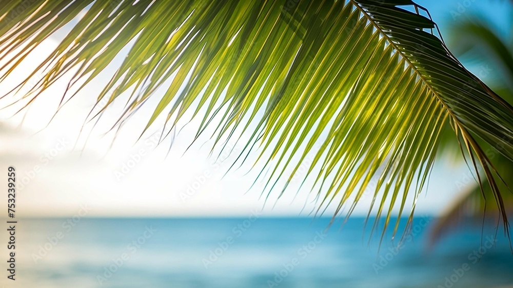 Fototapeta premium Palm leaf hanging over the ocean 