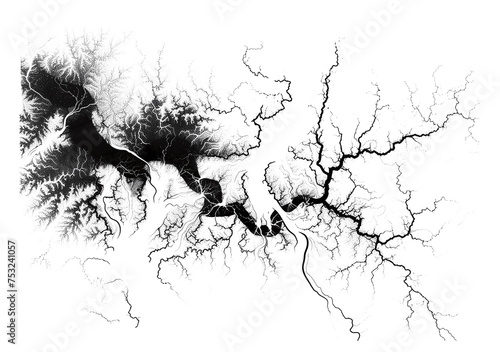 Natural Networks. A detailed black and white illustration of river-like patterns.