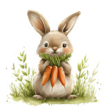 Cute Easter bunny with carrots siting on the green grass, watercolor vector illustration. Spring break.