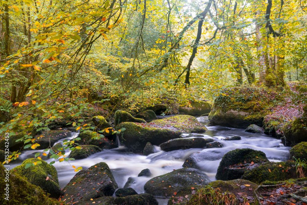 L'automne donne à la Rivière d'Argent, coulant dans la forêt d'Huelgoat des monts d'Arrée en Bretagne, une aura de mystère et de splendeur capturée par la pose longue.