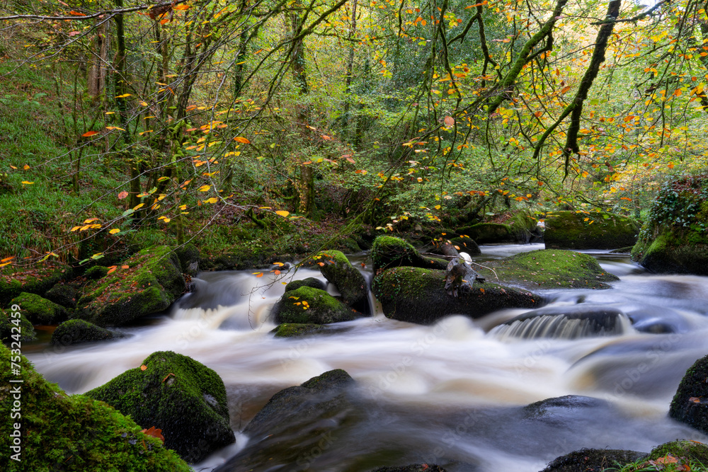 En automne, la pose longue capture la beauté intemporelle de la Rivière d'Argent, serpentant à travers la forêt d'Huelgoat, dans les monts d'Arrée en Bretagne, offrant une scène envoûtante et mélancol