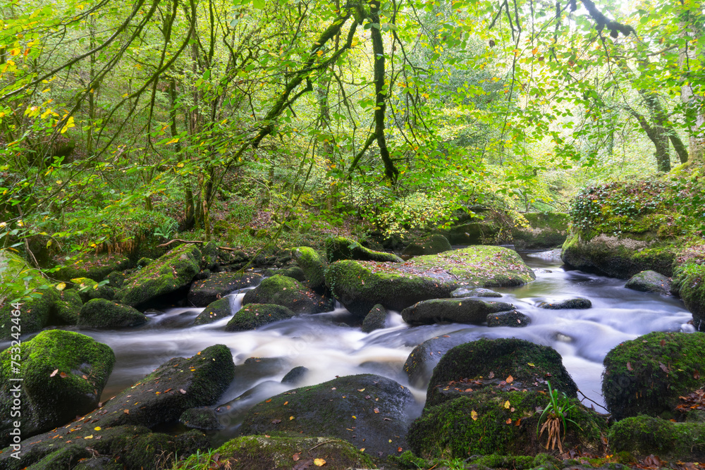 La pose longue fige la Rivière d'Argent, s'écoulant paisiblement à travers la forêt d'Huelgoat, créant une scène mystérieuse et captivante en Bretagne.