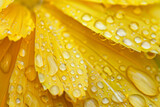 A vibrant yellow background is adorned with glistening water droplets, adding a touch of freshness and vitality to the scene.